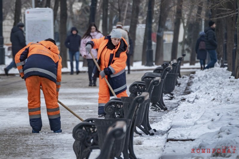 Невидимый снег оказался дорогим: кто заработал на отсутствии сугробов в Москве