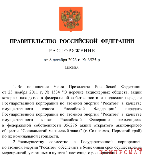 Кириенко, Керимов, братья Дворковичи… Кто слетелся на «Соликамский магниевый завод»?