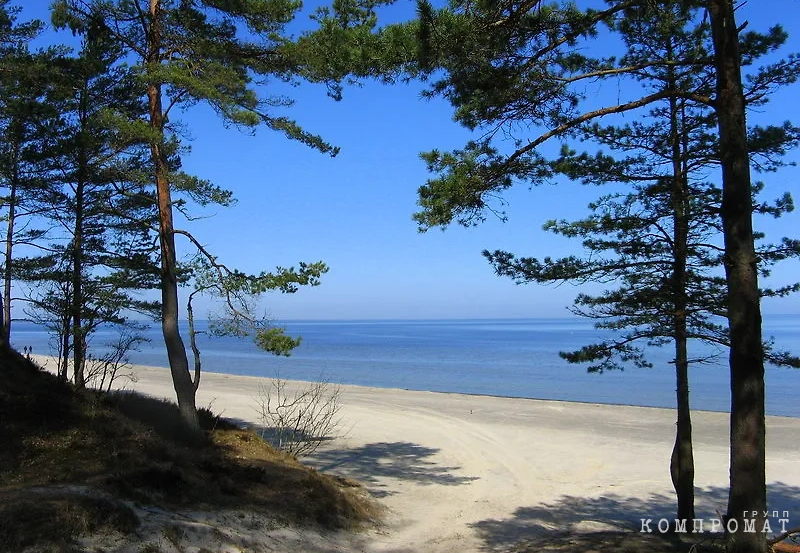 Море буквально в двух шагах от дома