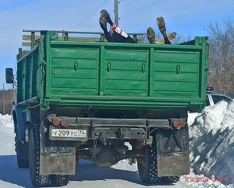 Жителей Челябинской области отравили ртутью и цианидом с «ЮГК». Чиновники попытались засекретить данные исследований